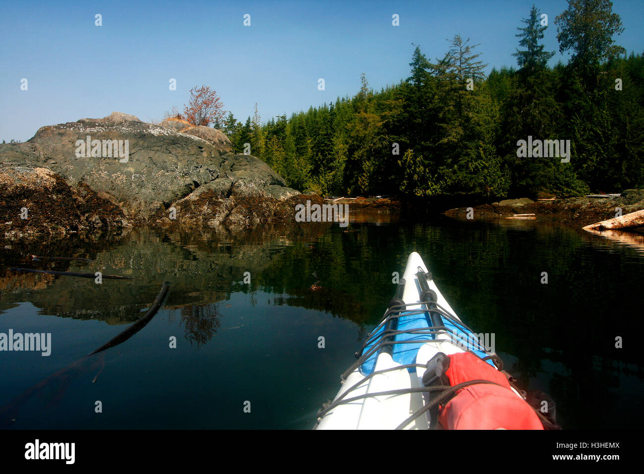 Kayak a Johnstone stretto. Isola di Vancouver. British Columbia. Canada Foto Stock