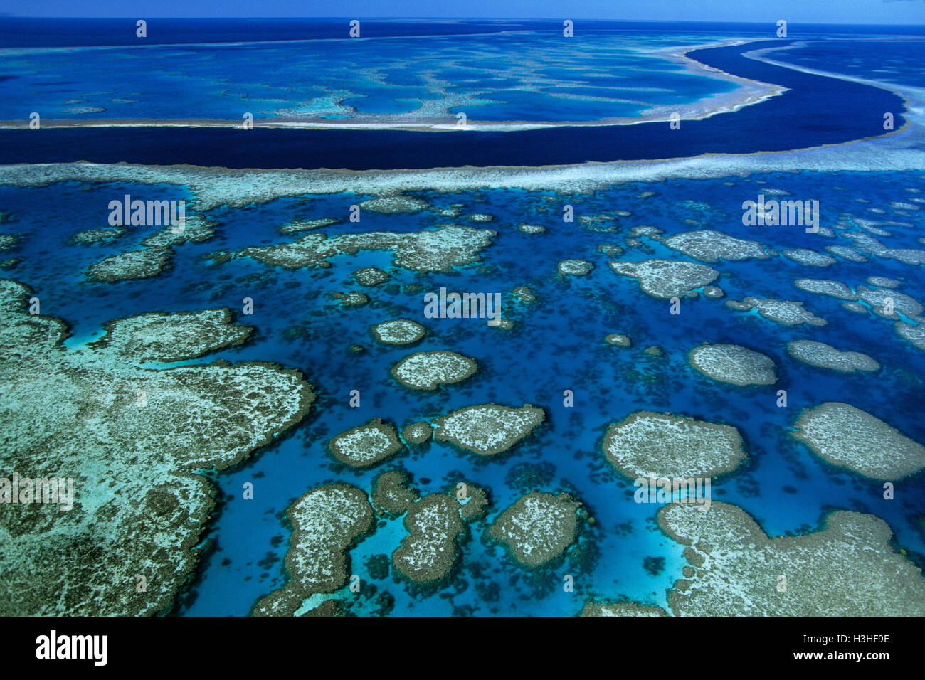 Gancio reef, Foto Stock