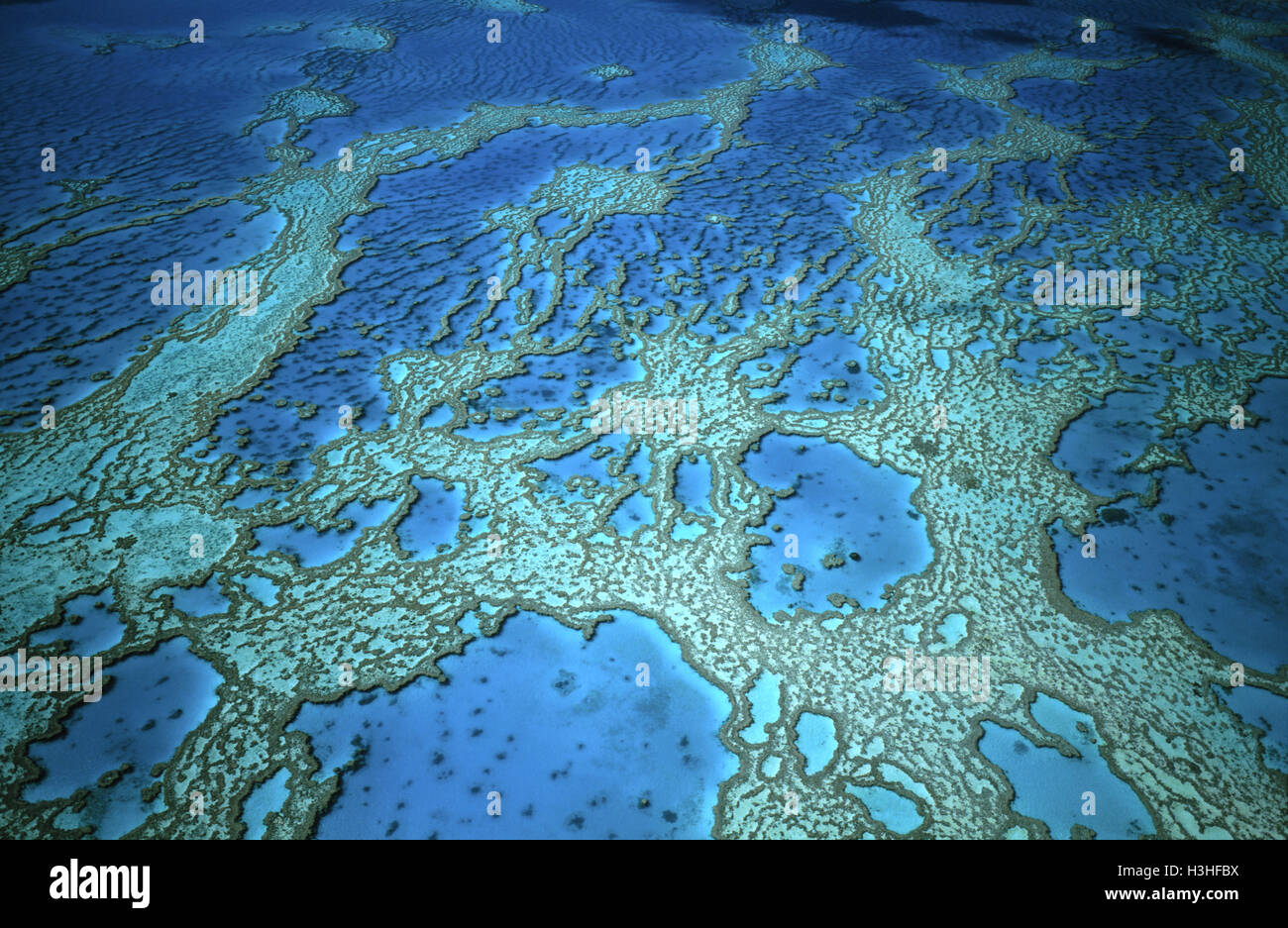 Fotografia aerea sopra hardy reef. Foto Stock