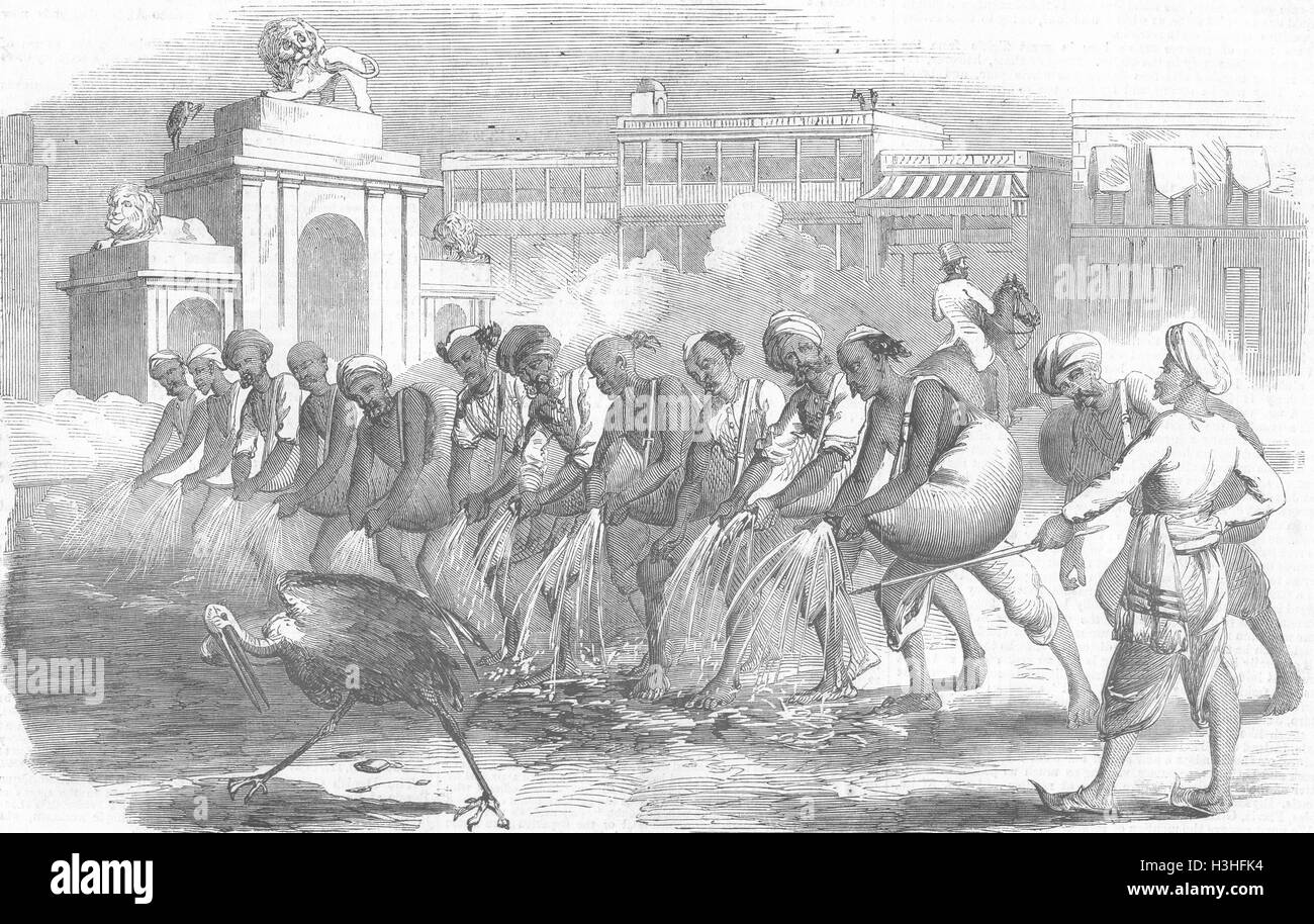 INDIA modalità di irrigazione 1858 di Kolkata. Illustrated London News Foto Stock