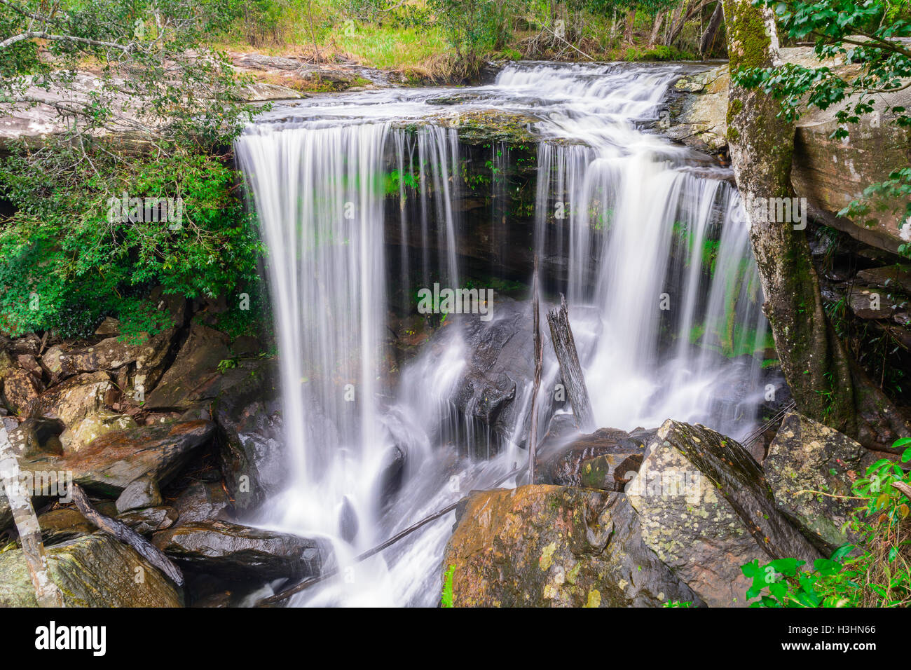 Penpob Mai cascata a Phu Kradueng Parco Nazionale. Loei, Thailandia Foto Stock