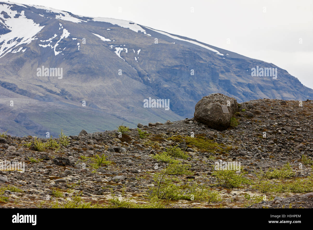 Memoriale al tedesco morto walkers, boccole e muschi crescente sul ghiacciaio Skaftafell morena fine Vatnajokull national park in Icelan Foto Stock