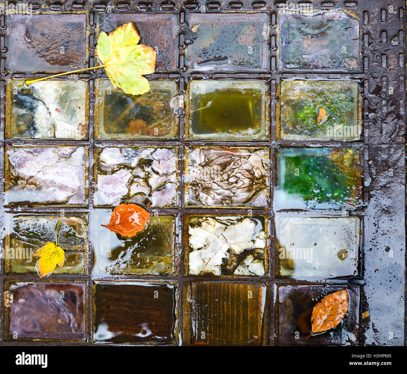 Vetro bagnato marciapiede di mattoni con foglie di autunno Foto Stock