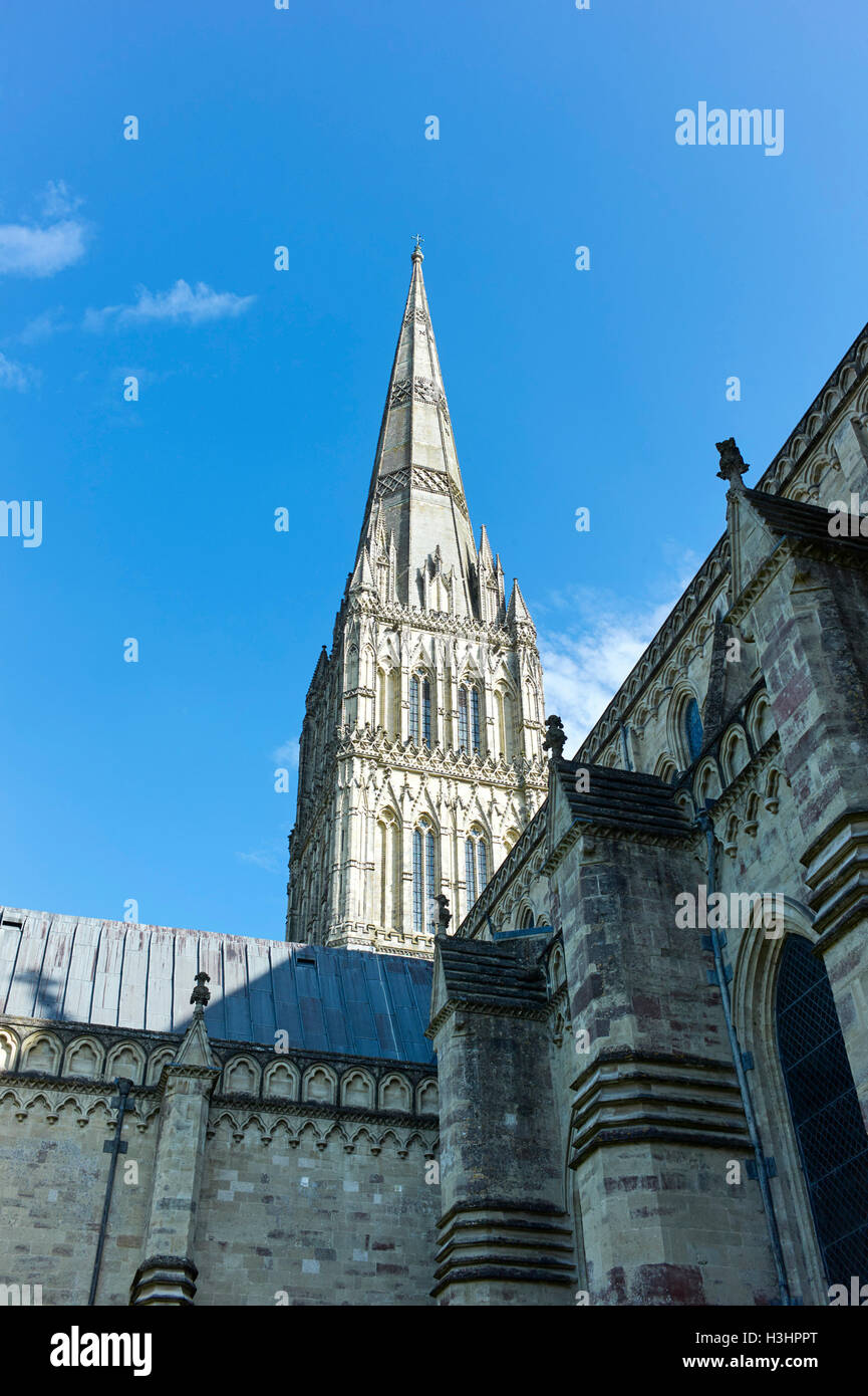 La Cattedrale di Salisbury guglia Foto Stock