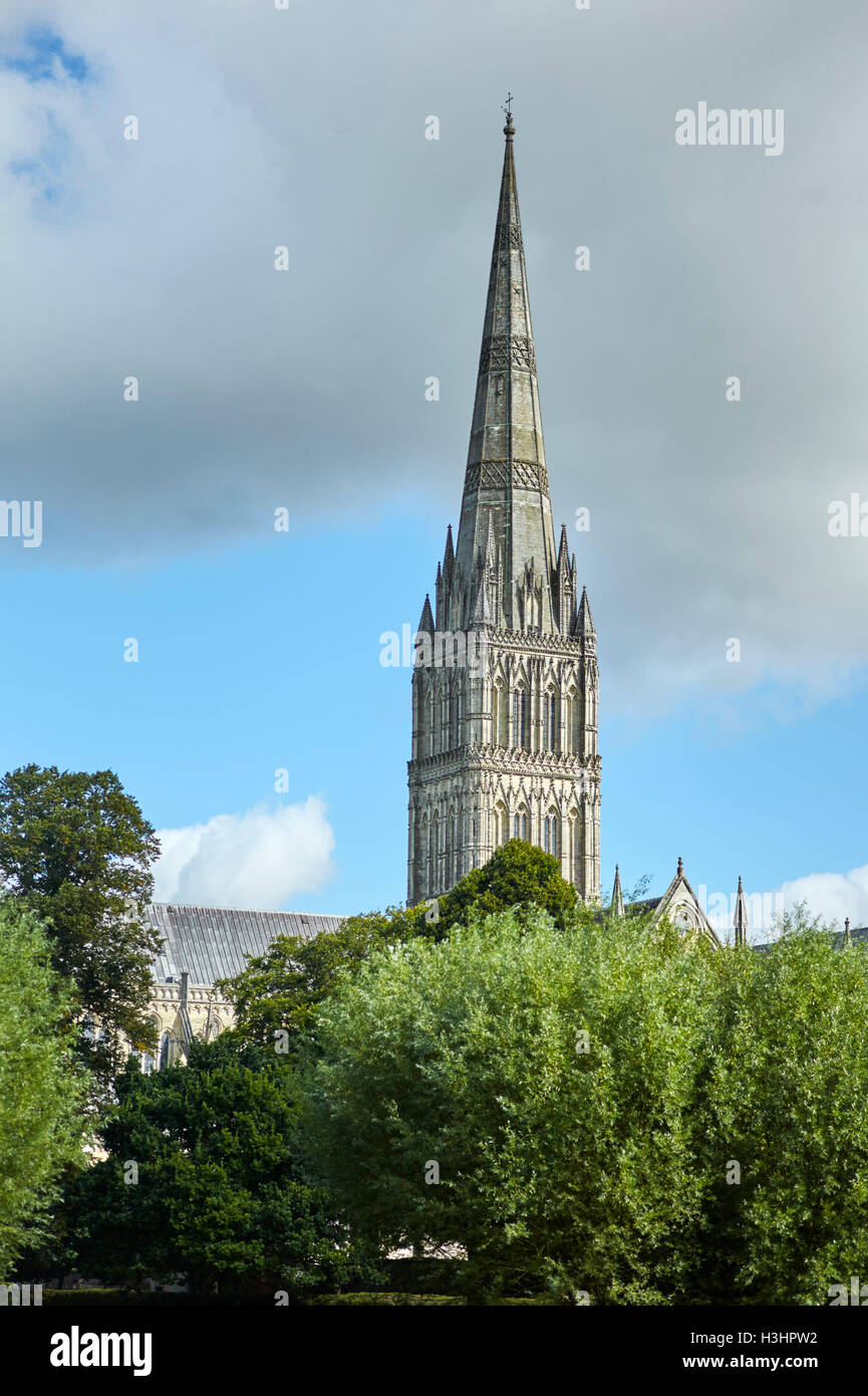 La cattedrale di Salisbury guglia Foto Stock