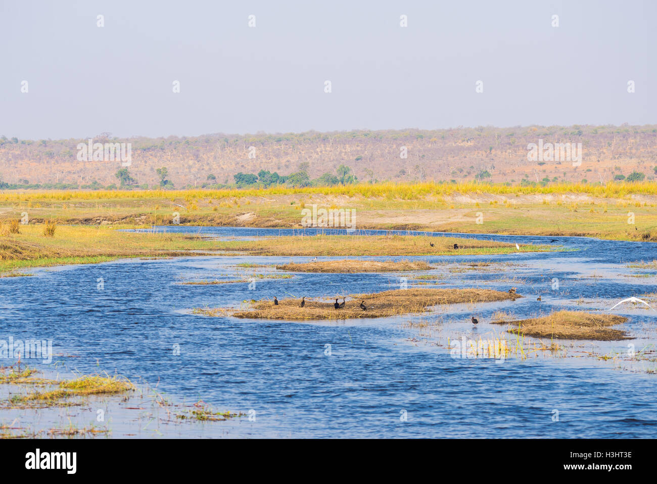 Fiume Chobe paesaggio, vista dal Caprivi Strip sulla Namibia Botswana confine, Africa. Chobe National Park, famosa riserva wildlilfe Foto Stock