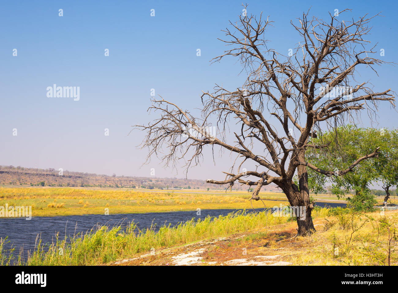 Fiume Chobe paesaggio, vista dal Caprivi Strip sulla Namibia Botswana confine, Africa. Chobe National Park, famosa riserva wildlilfe Foto Stock