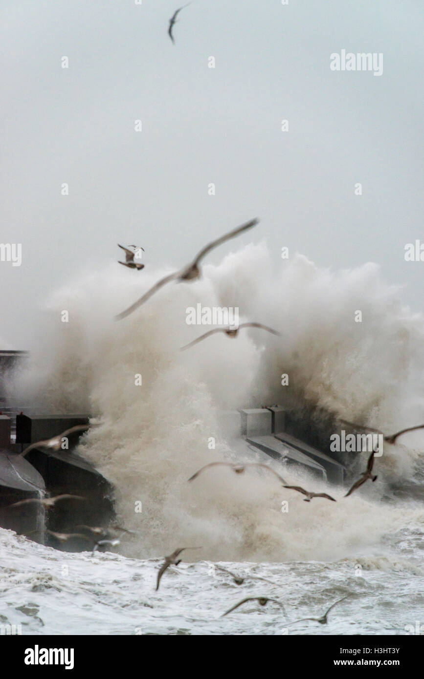 Onde che si schiantano contro le pareti di Brighton Marina Foto Stock