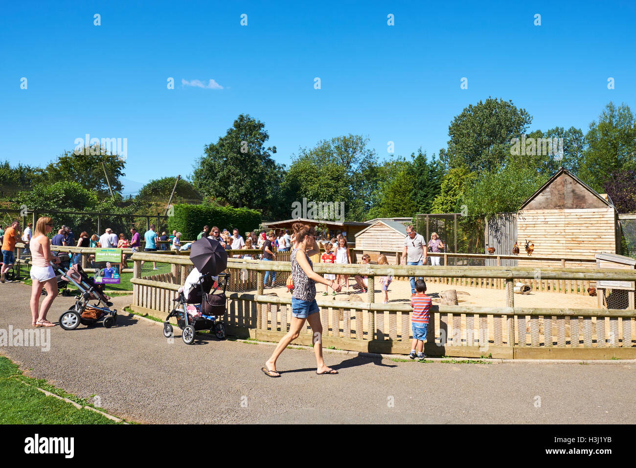 Le persone che si godono la presenta entro il Birdland una popolare attrazione turistica Bourton-On-The-Water Costwolds REGNO UNITO Foto Stock