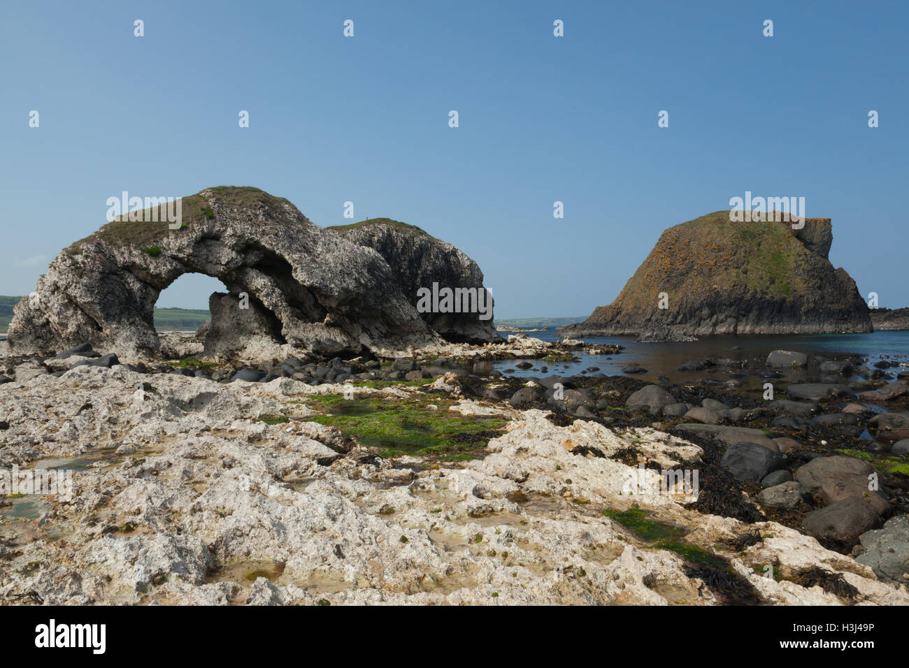 Una vista di un arco di mare sulla costa dell' Irlanda del Nord vicino a Ballintoy Porto. Foto Stock