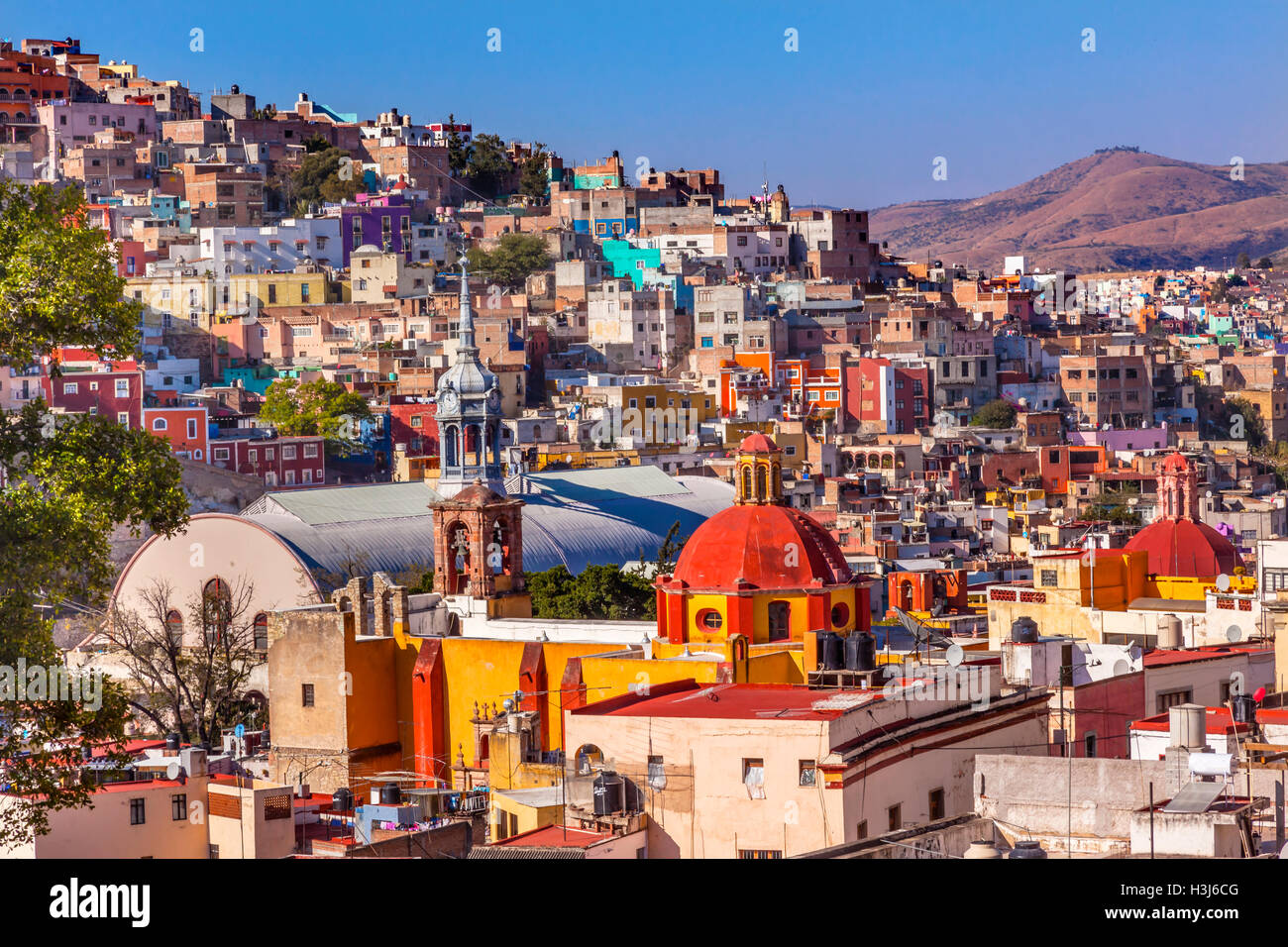 Case colorate Iglesia de San Roque mercato Mercado Hidalgo Guanajuato, Messico Foto Stock