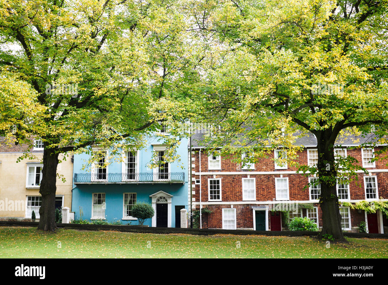 Priory Gate, Lincoln, Regno Unito: di fronte alla cattedrale, grandi alberi di strada telaio le case Foto Stock