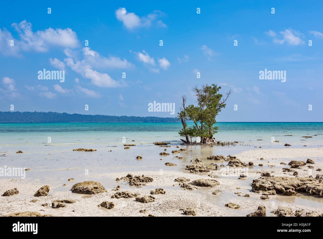 Mare incontaminato shore in Havelock island, Andaman, India Foto Stock