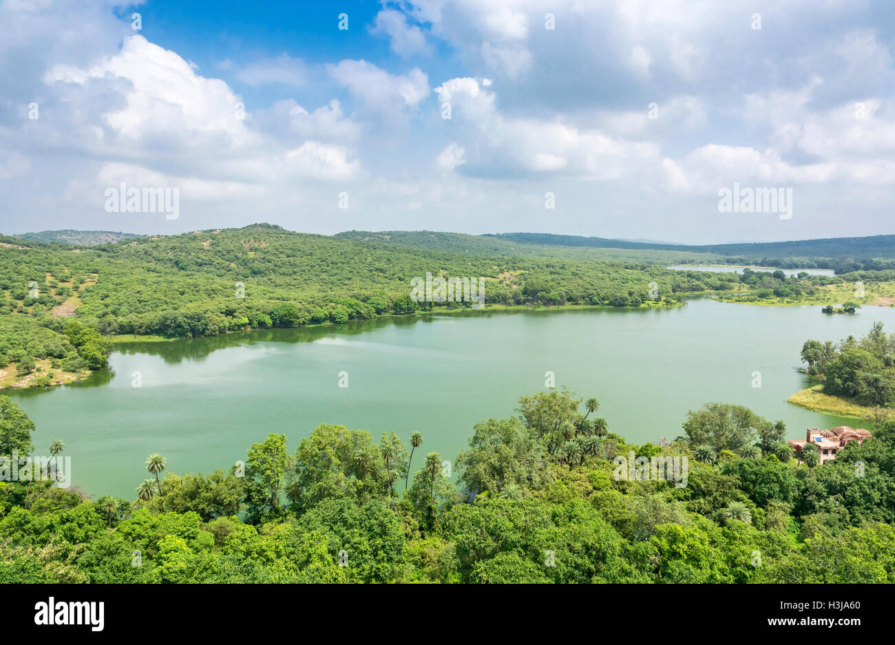 Vasto allagato Padma lago in Ranthambhore national park, India Foto Stock