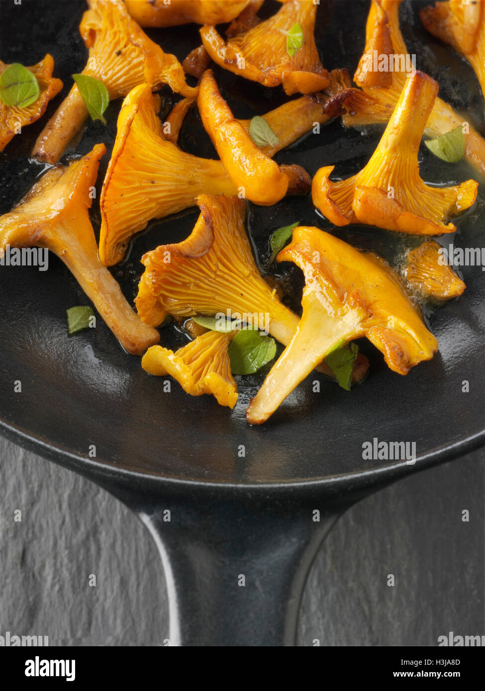 Wiild chanterelle organico o girolle funghi (Cantharellus cibarius) o in padella con il burro e le erbe aromatiche Foto Stock