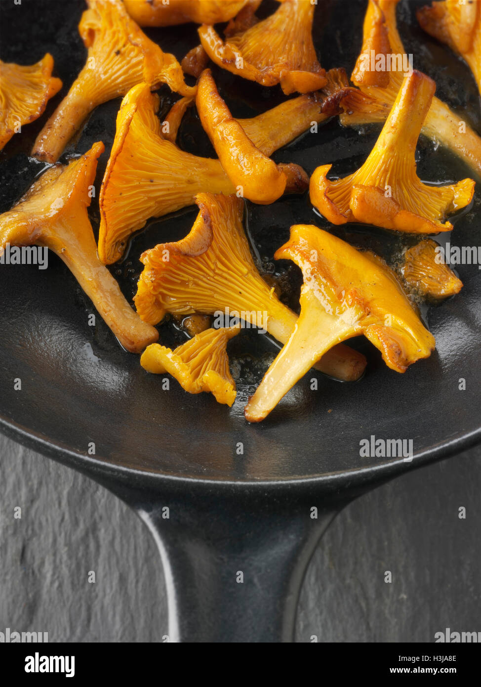 Wiild chanterelle organico o girolle funghi (Cantharellus cibarius) o saltate nel burro Foto Stock