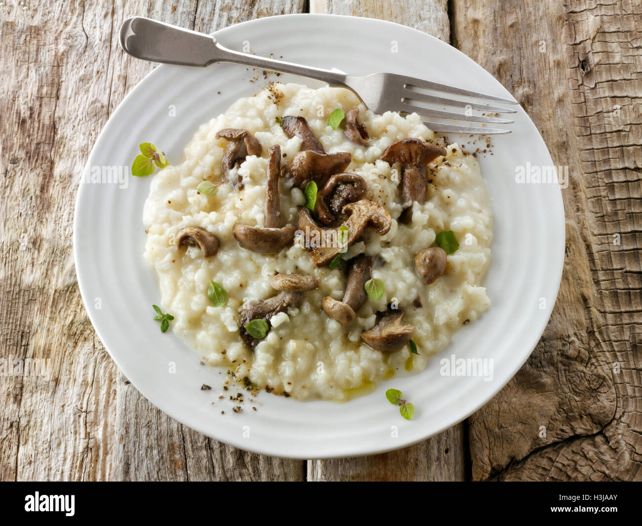 Saltate organico selvatici Pied Bleu di funghi (Clitocybe nuda), Blewit o blu piedi funghi cotti nel burro e Risotto alle erbe Foto Stock