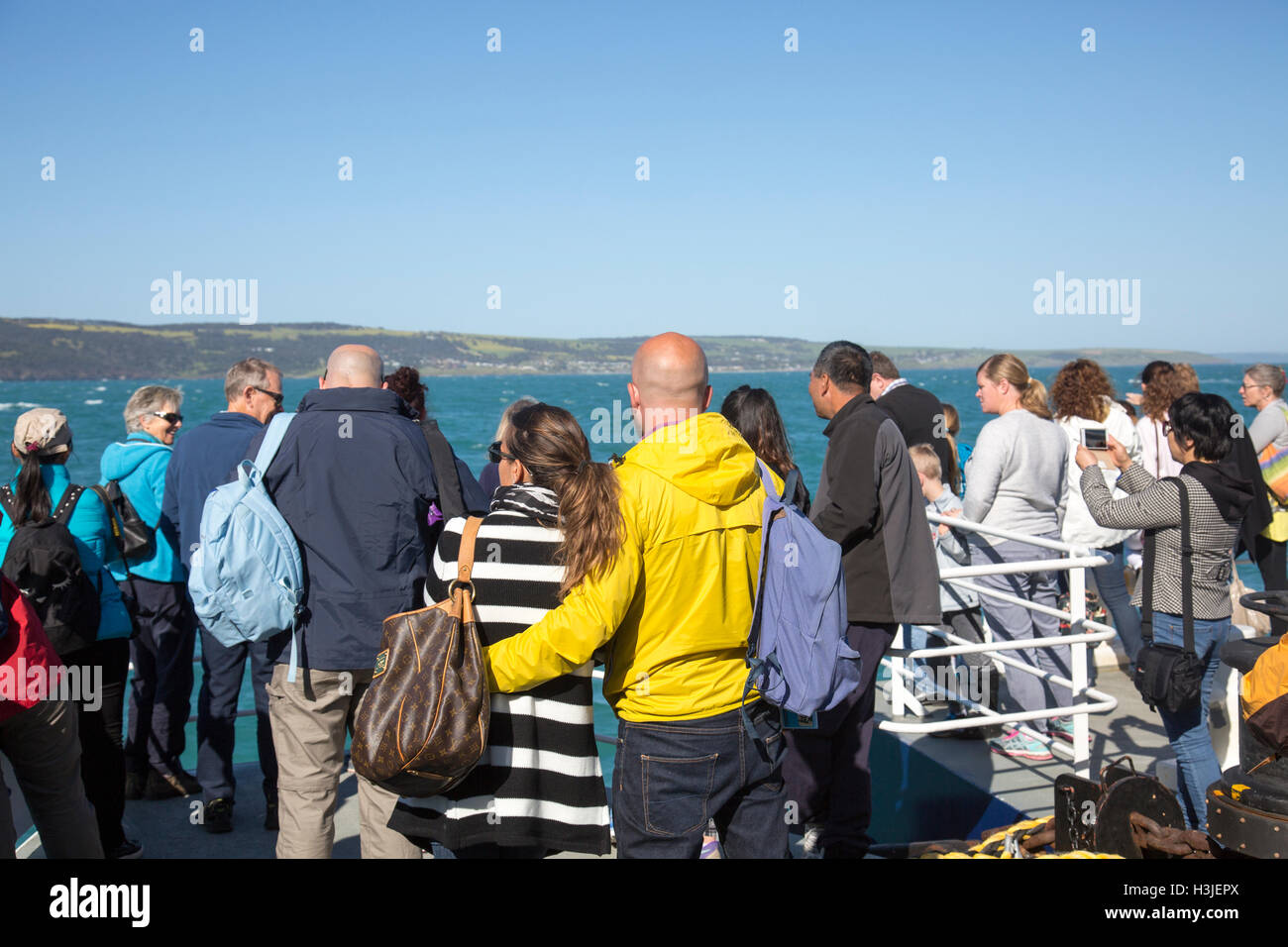 Sealink ha affermato che i passeggeri del traghetto sul ponte anteriore osservando Kangaroo Island come il traghetto si avvicina a riva,Kangaroo Island,Sud Australia Foto Stock