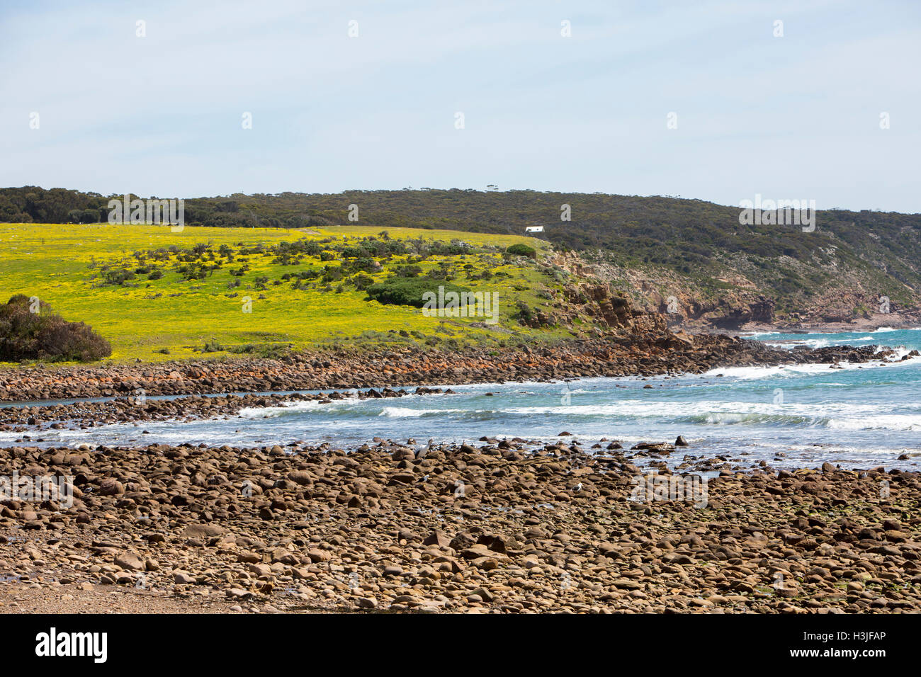 Stokes Bay, situato sulla costa nord di Kangaroo Island, in australia è la terza isola più grande,Sud Australia Foto Stock