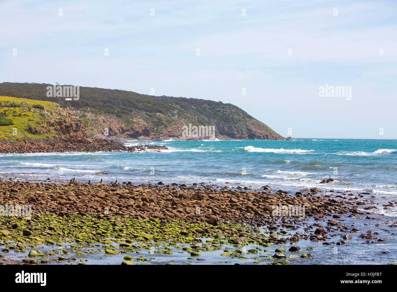 Stokes Bay, situato sulla costa nord di Kangaroo Island, in australia è la terza isola più grande,Sud Australia Foto Stock