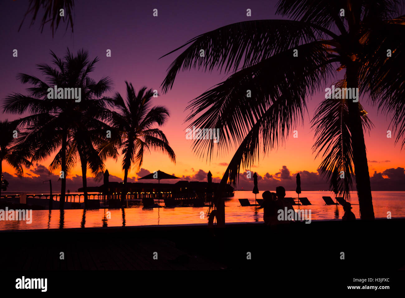 Spiaggia tropicale sfondo con palme silhouette al tramonto. Effetto vintage. Foto Stock