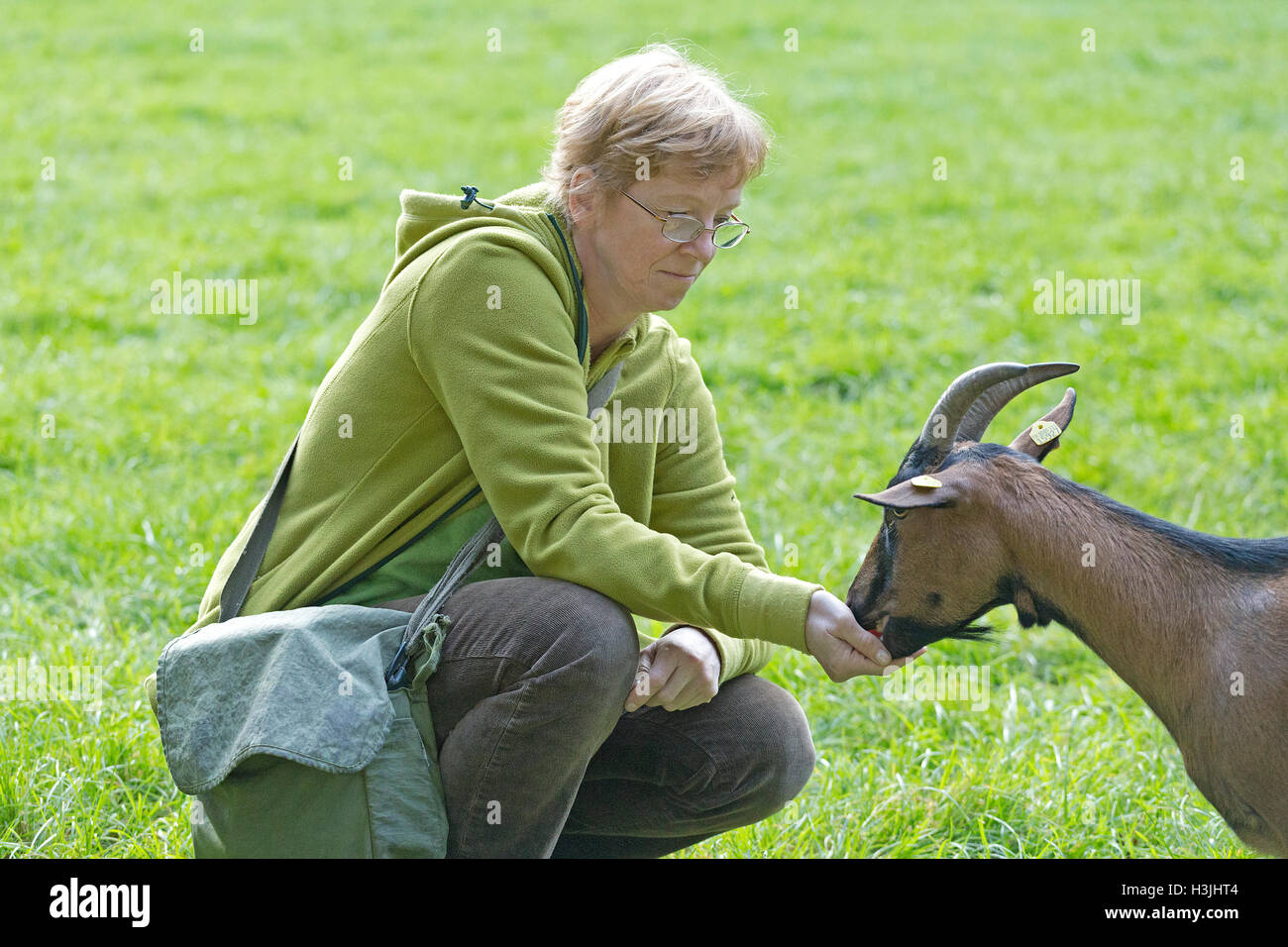 Donna di capra che dà un piacere, "Wildpark Schwarze Berge', Bassa Sassonia, Germania Foto Stock