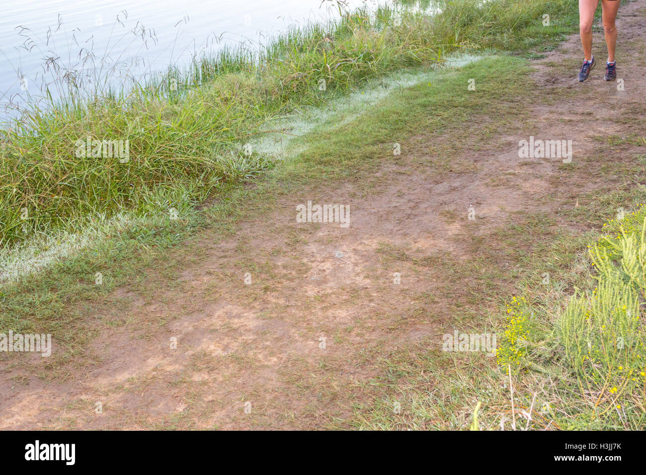 Giovani atleti in funzione cross country Foto Stock