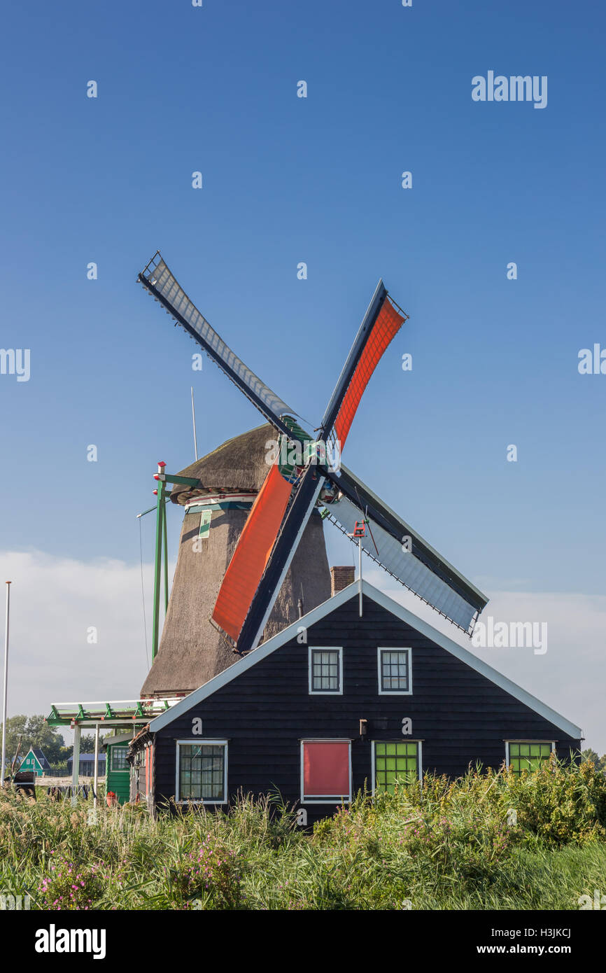Storico mulino a vento olandese di Zaanse Schans, Paesi Bassi Foto Stock