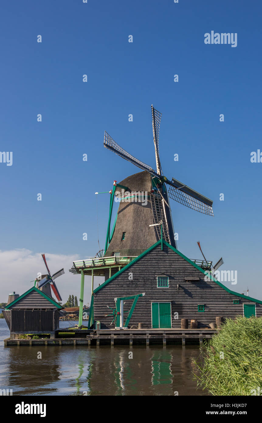 Storico mulino a vento olandese di Zaanse Schans, Paesi Bassi Foto Stock