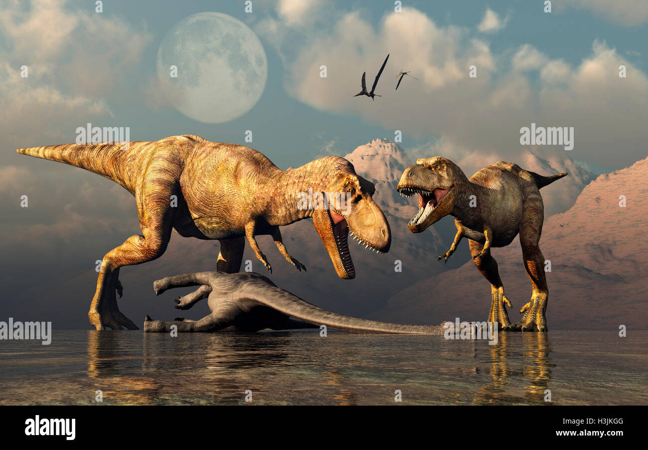 Una coppia di T.REX ,l'alimentazione dai resti di un dinosauro Sauropod  Foto stock - Alamy