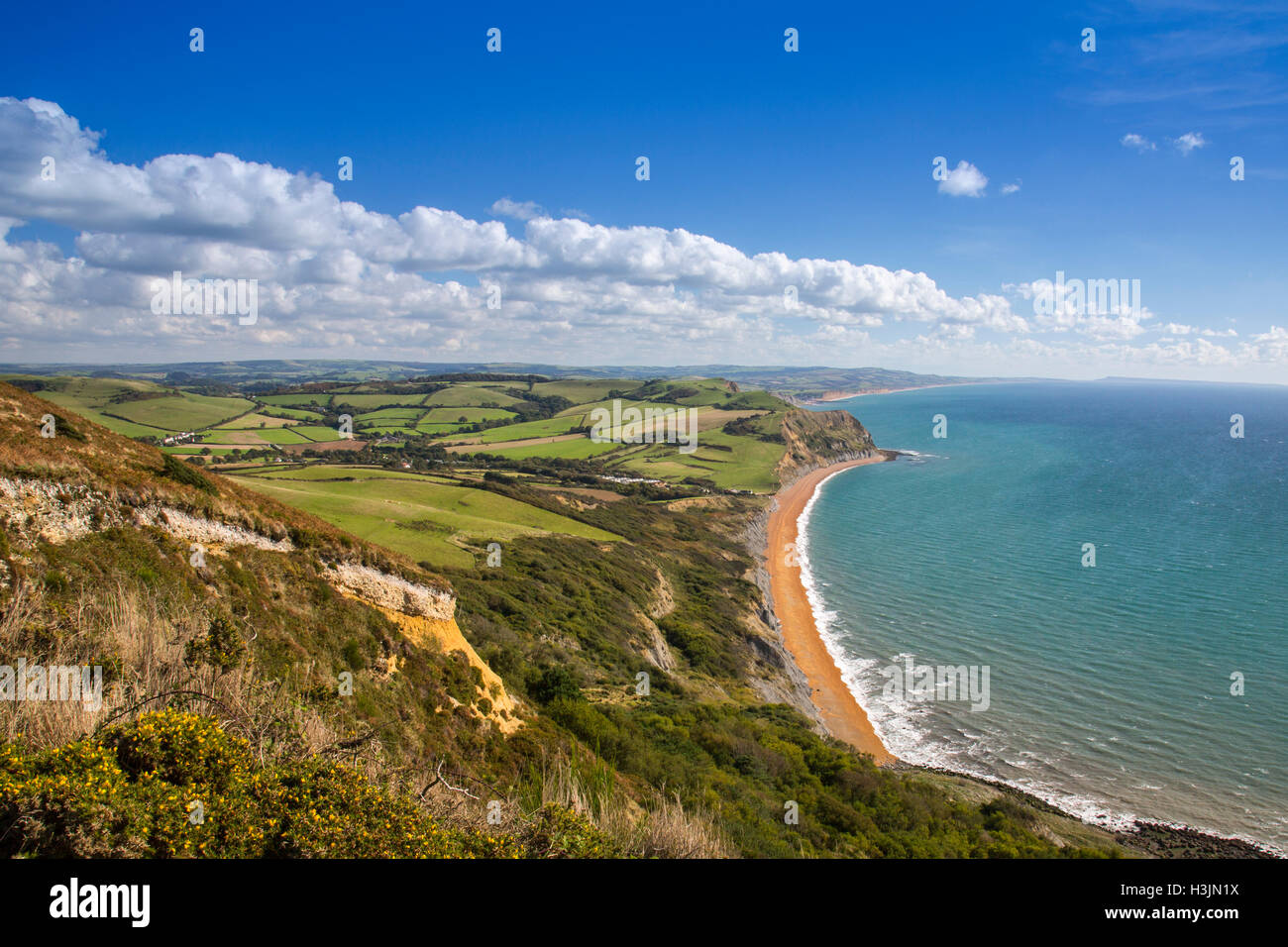 Guardando ad est dal vertice del Golden Cap verso Oriente Ebb e Ridge scogliera sulla Jurassic Coast, Dorset, England, Regno Unito Foto Stock