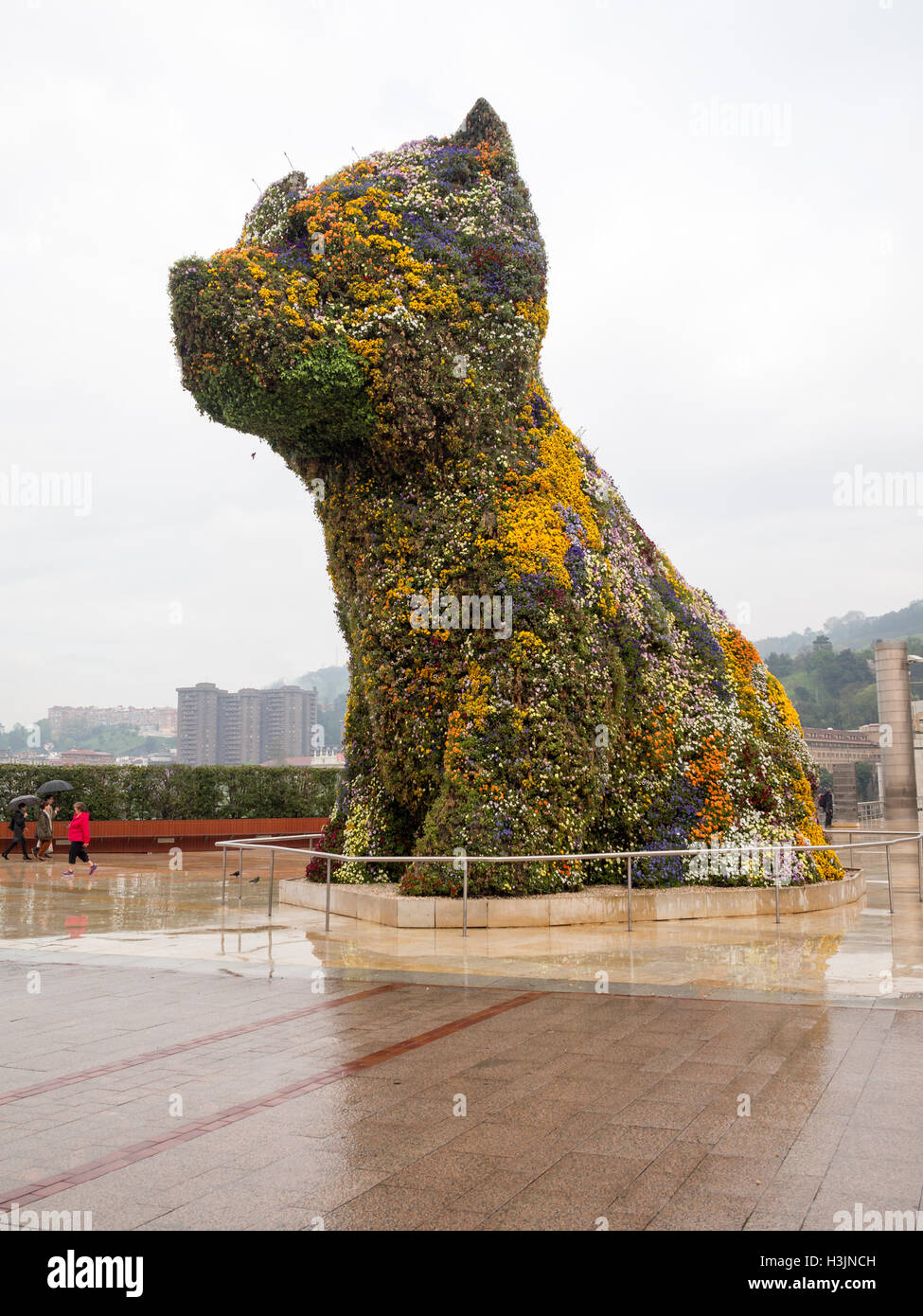 Jeff Koons Puppy scultura di fiori al di fuori del Guggenheim Museum Bilbao  Foto stock - Alamy