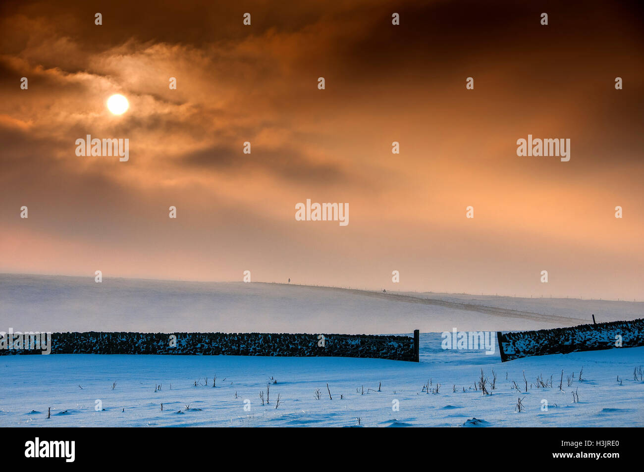 Asciugare la parete di pietra al tramonto in inverno, tagliare Thorn Hill, Parco Nazionale di Peak District, Cheshire, Inghilterra, Regno Unito Foto Stock