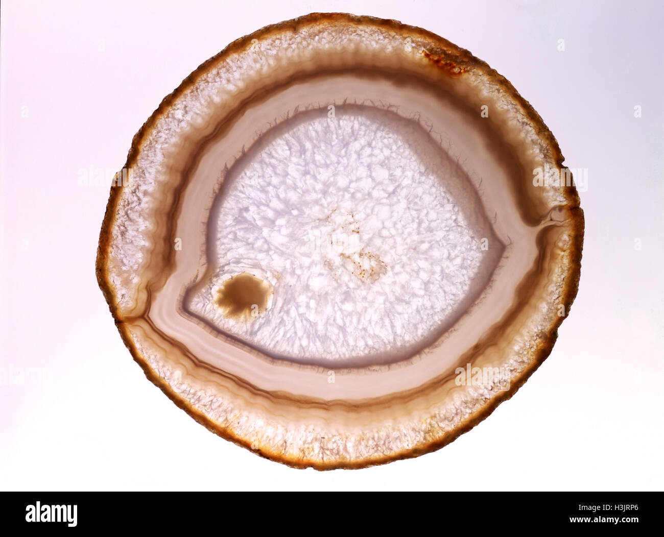 Agata sezione lucidata, Foto Stock