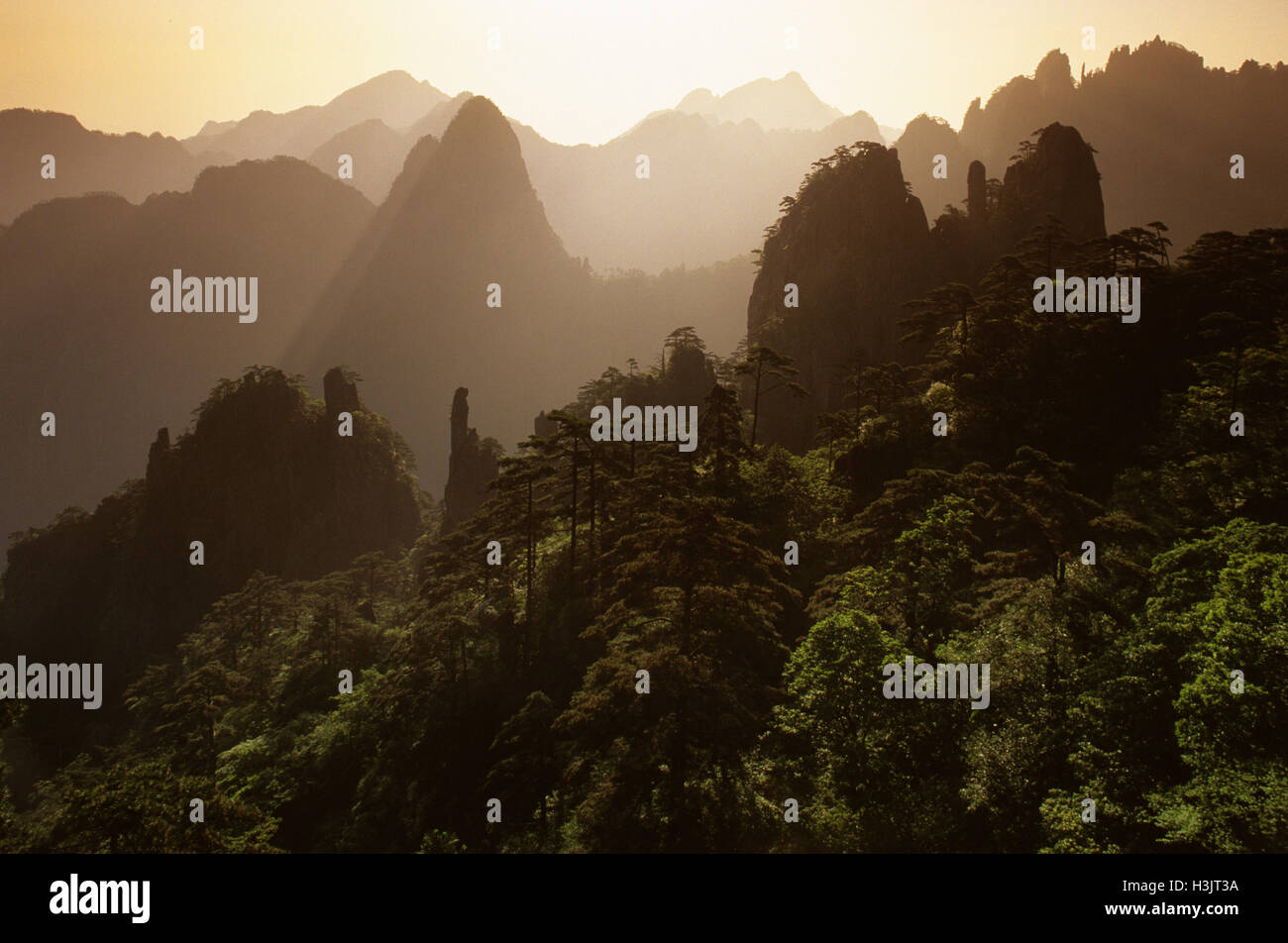 Huangshan 'il giallo le montagne", Foto Stock