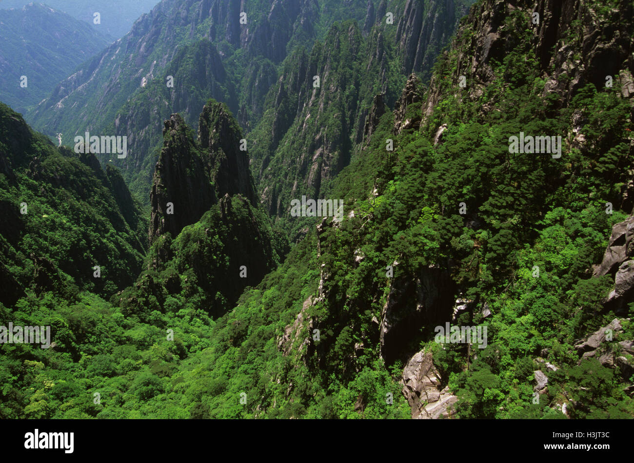 Huangshan 'il giallo le montagne", Foto Stock