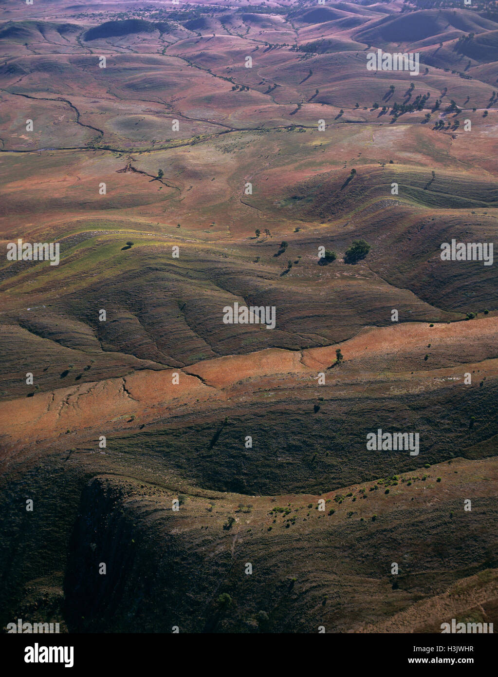 Fotografia aerea della montagne piegate nel nord Flinders Ranges, Foto Stock