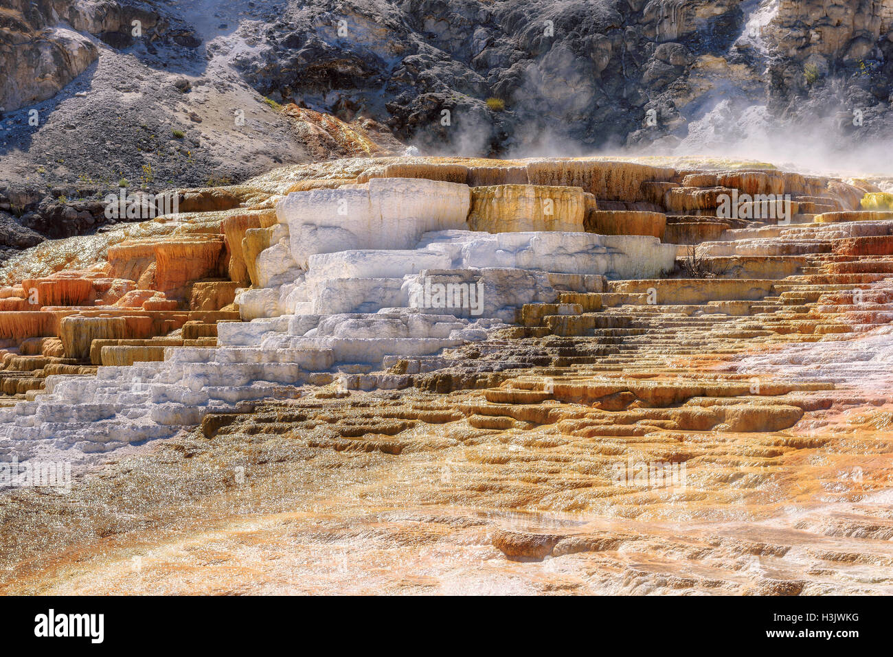 Abbassare Mammoth Hot Springs terrazza, il parco nazionale di Yellowstone, Wyoming usa Foto Stock