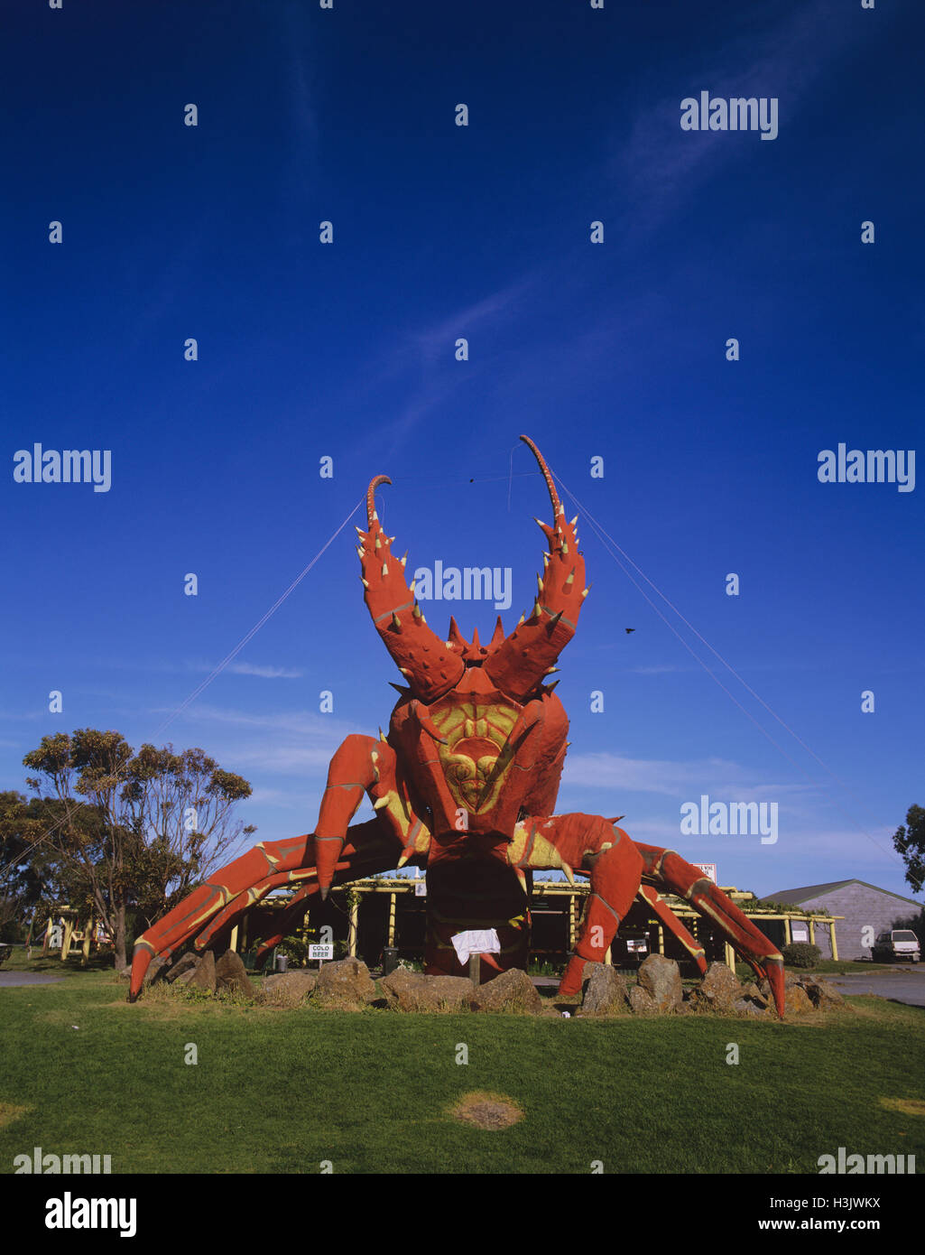 Il grande aragosta, Foto Stock