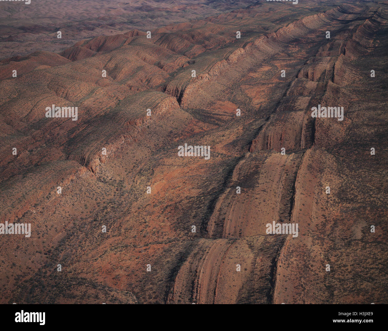 MacDonnell Ranges, Foto Stock