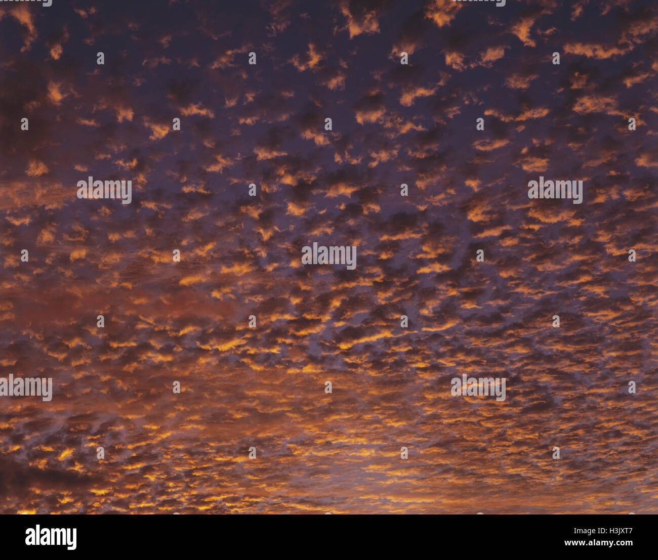 Altocumulus nuvole, Foto Stock