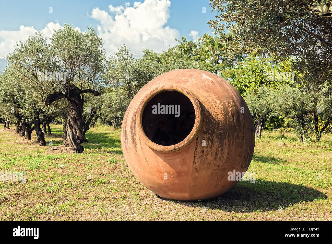 Grande vaso di terracotta per olio e olivi nel campo Foto Stock