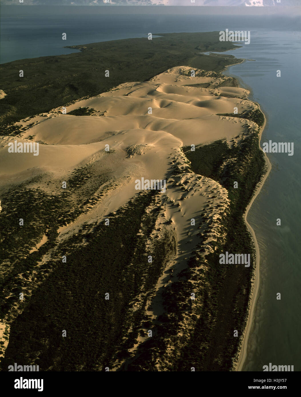 Rebbio Bellefin dune di sabbia Foto Stock