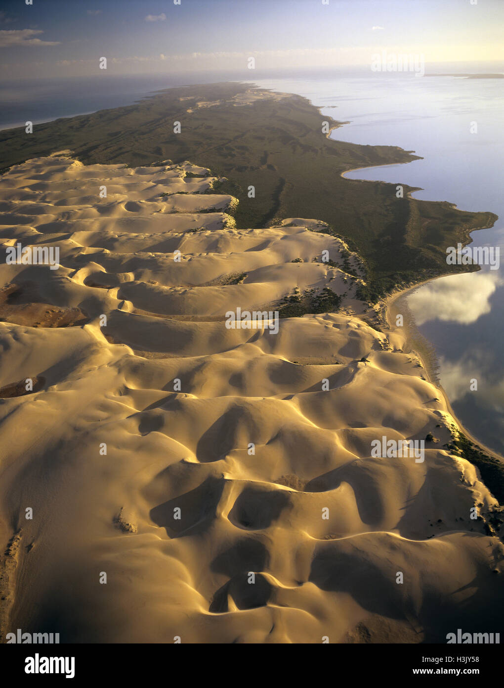 Rebbio Bellefin dune di sabbia Foto Stock