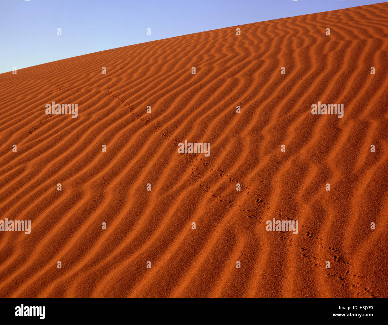 Increspato le dune di sabbia Foto Stock