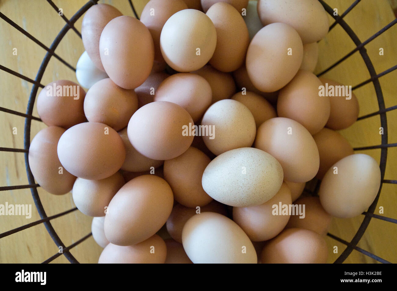Cesto di uova fresche Foto Stock
