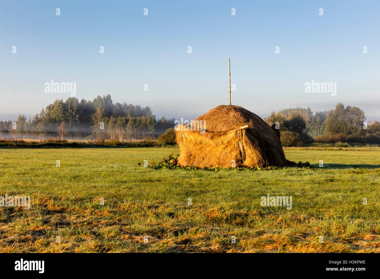 Pagliaio su Podlasie, Polonia, l'Europa. Foto Stock