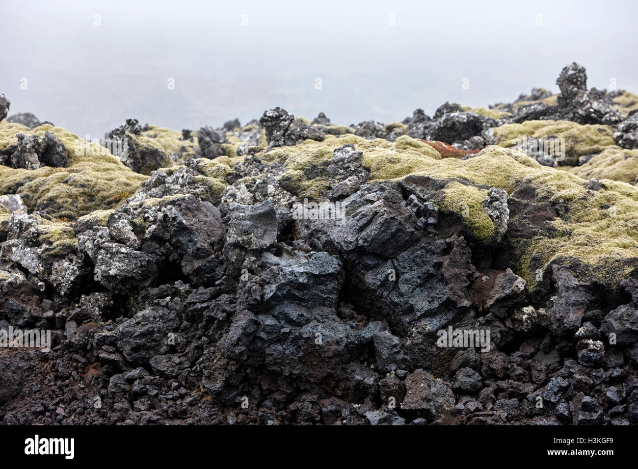 Sezione trasversale del flusso di lava Islanda Foto Stock
