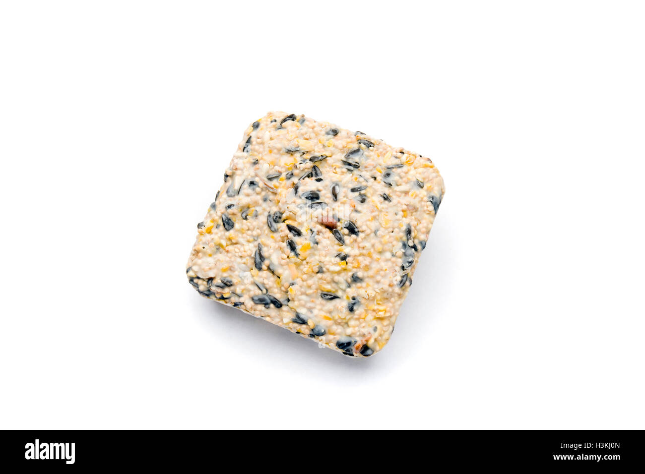 Suet wild bird food Foto Stock