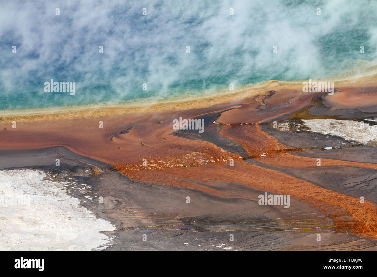 La cottura a vapore Grand Prismatic Spring Foto Stock